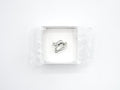 ECLAT ring 04