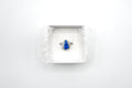 ECLAT ring 31