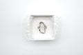 ECLAT ring 17
