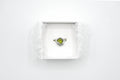 ECLAT ring 25