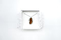 ECLAT necklace 26